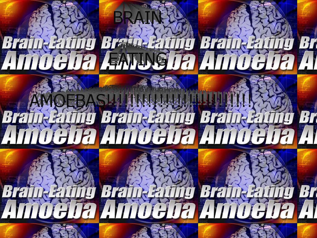 braineatingamoebas