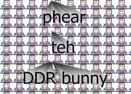DDR bunny