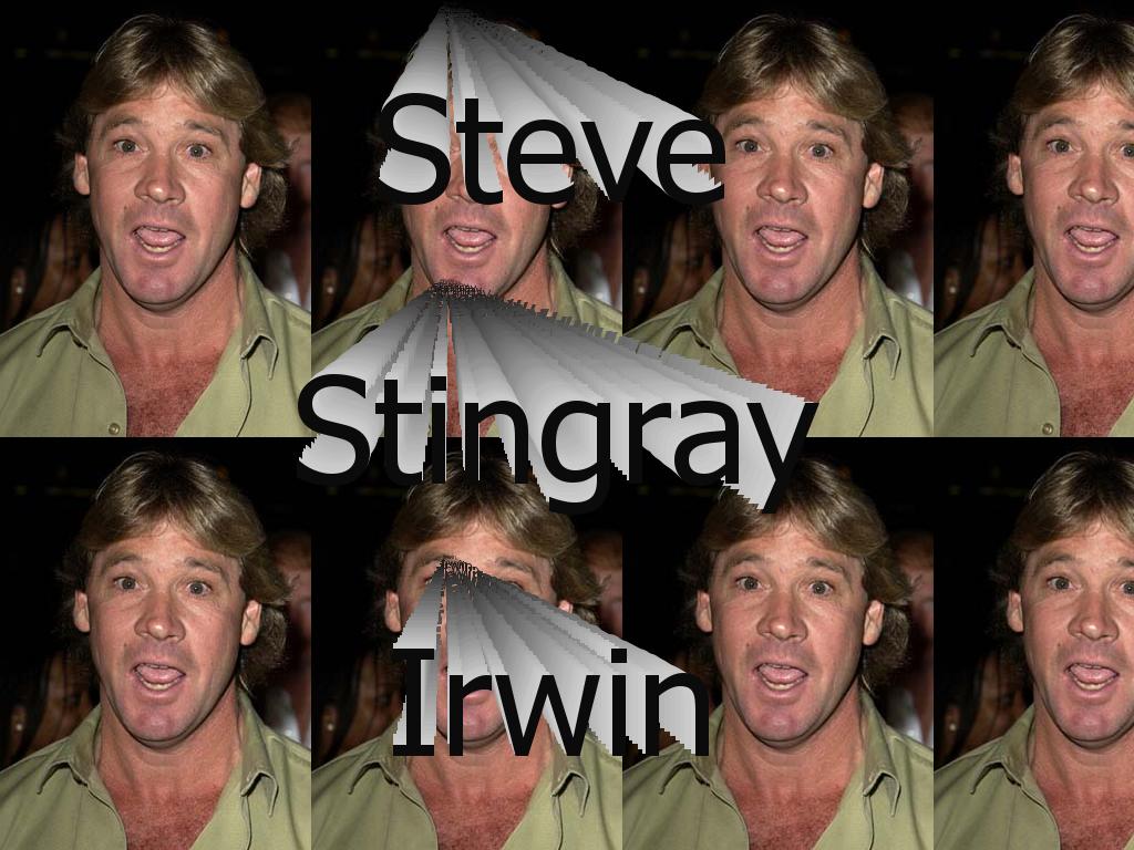 stevestingrayirwin