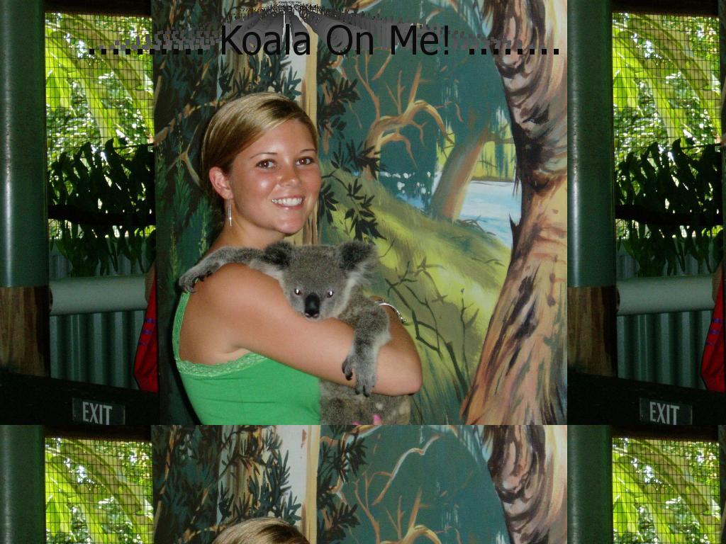 koalaonme