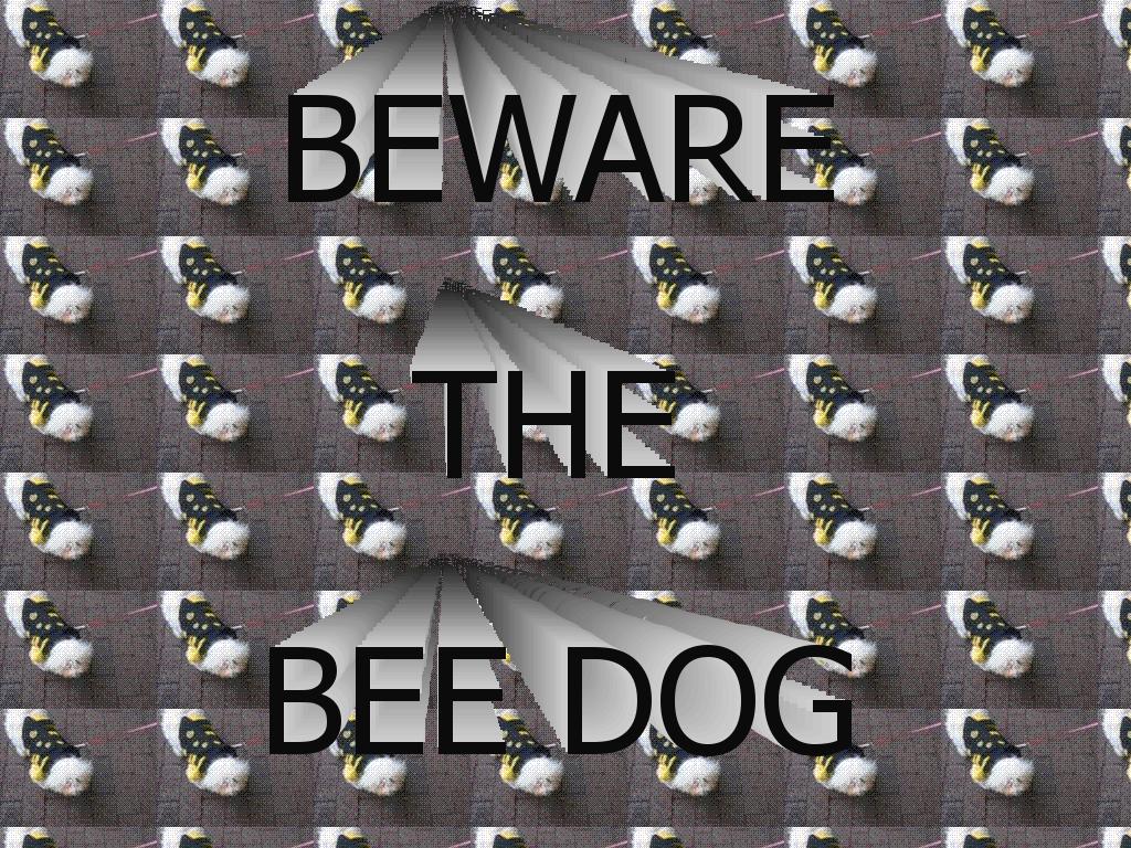 beedogswhoa