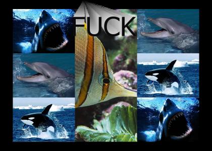 deep sea fishin trilogy (featuring fuckfish)