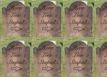 Here Lies Stupid