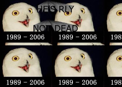 Sleep In Peace RIP Jonathan O RLY Owl