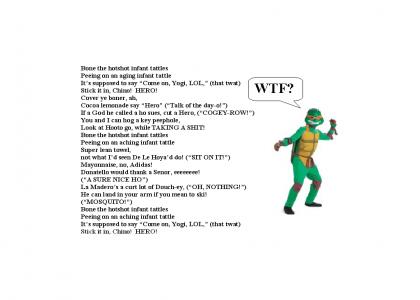 INTERPRETATION / TRANSLATION: Japanese Teenage Mutant Ninjas Turtles (WTF)