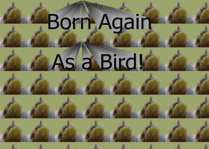 Born Again as a Bird!