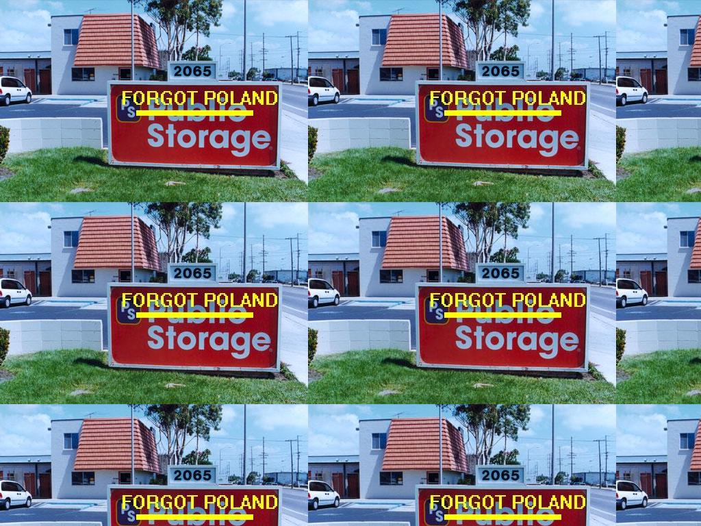 forgotpolandstorage