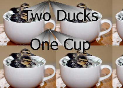 Two Ducks One Cup