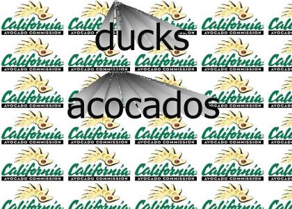 ducks & avocados