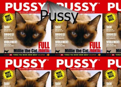 Pussy Lovers