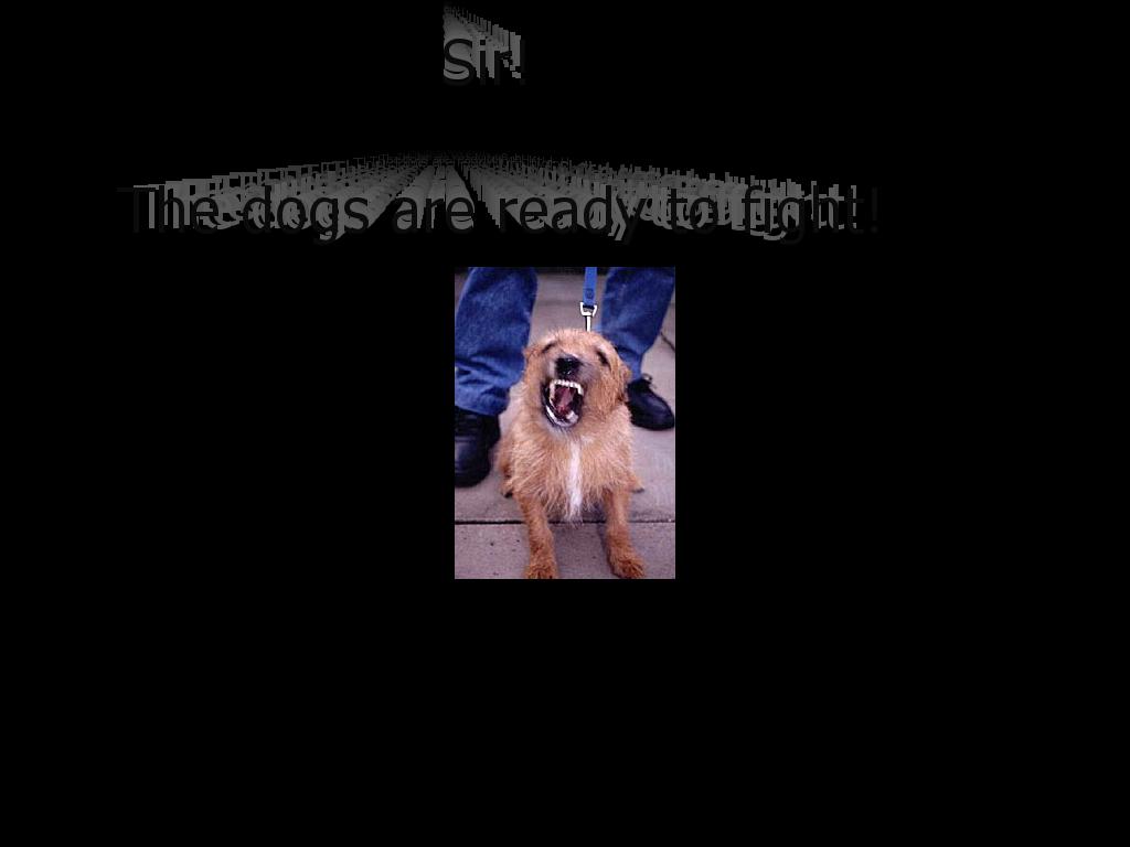 thedogsarereadytofight