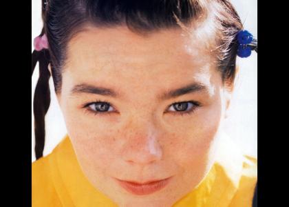 Bjork stares into your soul