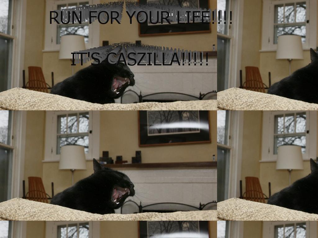 caszilla