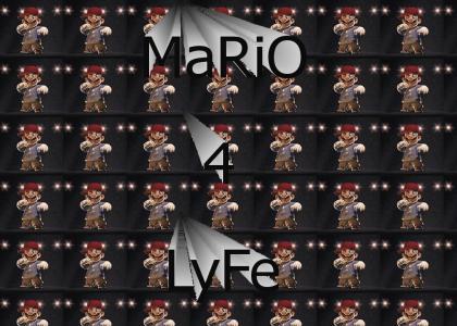 Mario 4 Lyfe