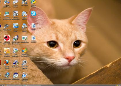 Laugh at my desktop