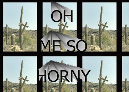 Horny Cactus