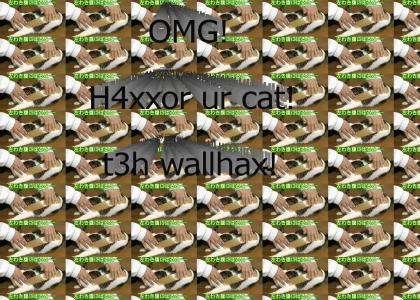 H4xx0r ur cat