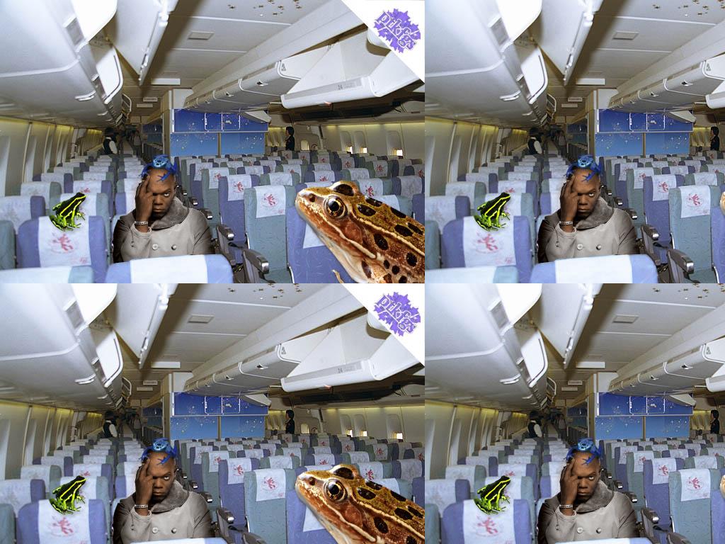 ptkfgsfrogsonaplane