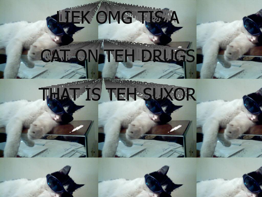 druggiecat