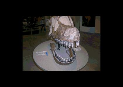 3-D T-Rex 2006