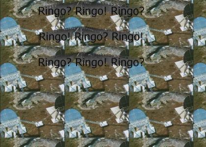 RINGO!