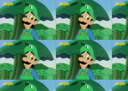 Luigi's Stupid