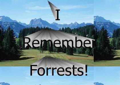 Does anybody remember forrests?