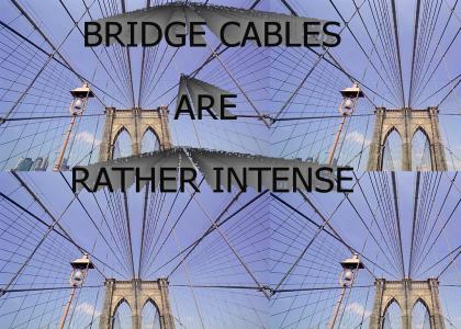 Bridge Cables Are Rather Intense