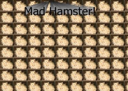 Mad Hamster