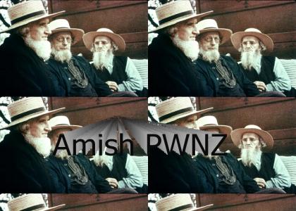 Amish Paradise