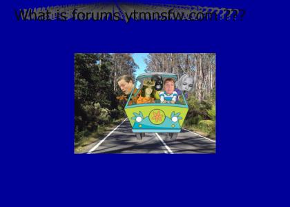 What is ytmnsfw forums?