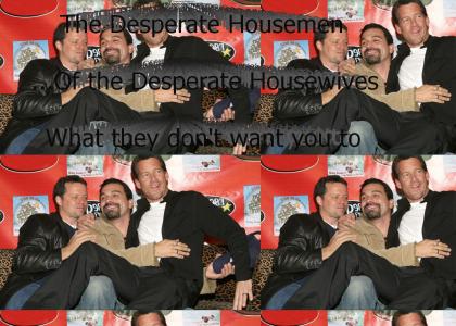 Desperate Housemen