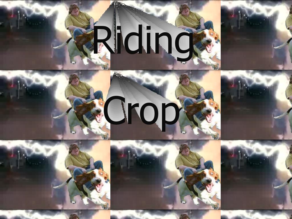 ridingcrop