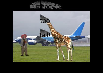 Giraffes can't go on planes