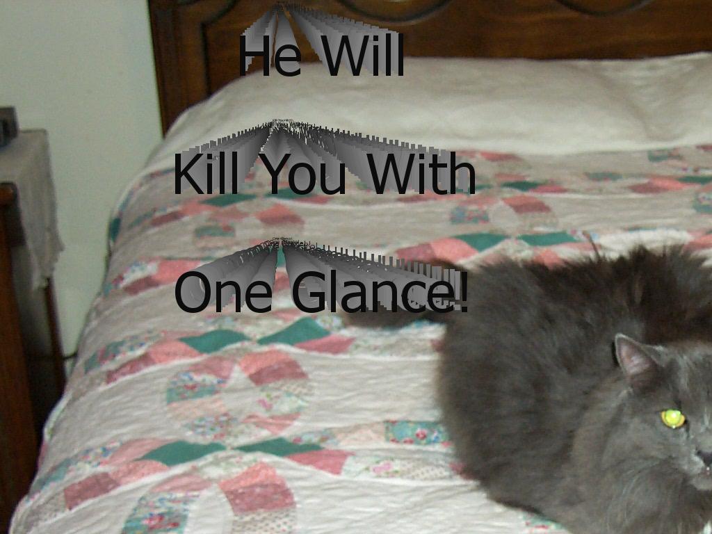 evilgreycat