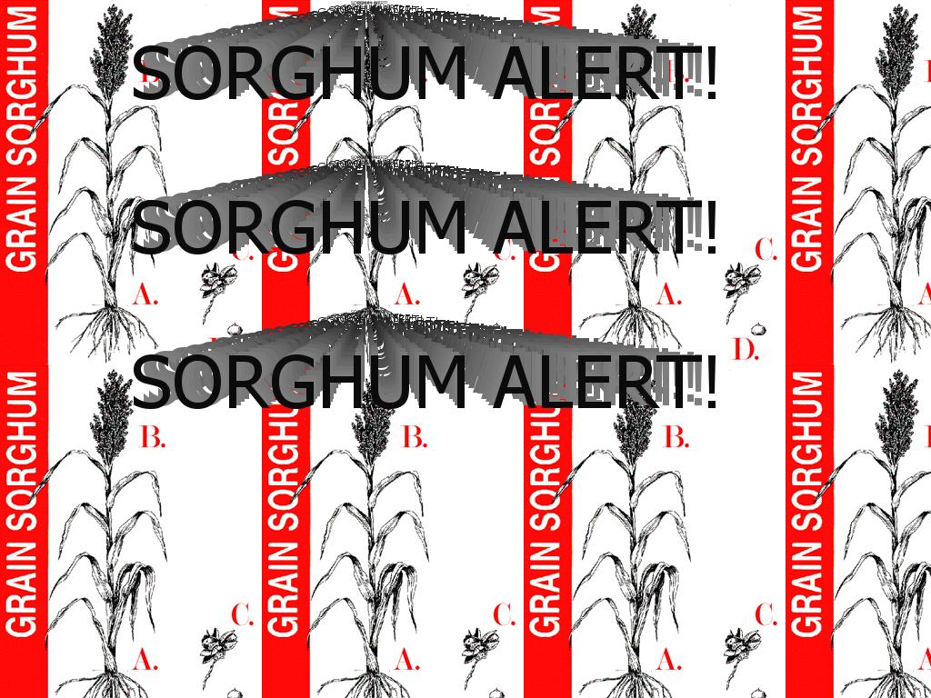 SORGHUMALERT