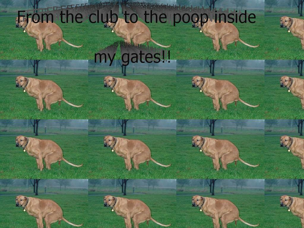 poopinsidemygates