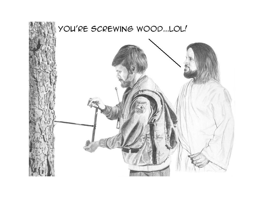 screwingwood