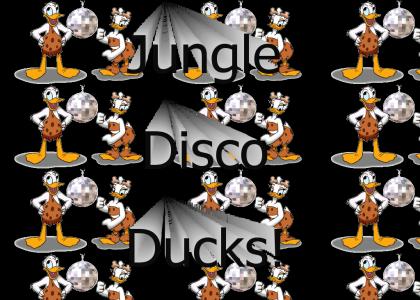 Jungle Disco Ducks