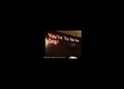 You're the Man Now Dog LED SIGN *UPDATE*