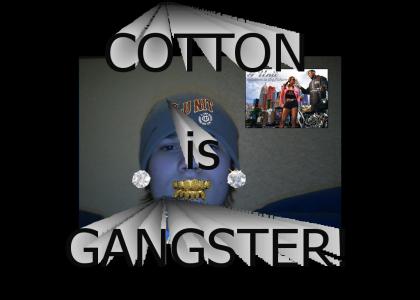 COTTON IS GANGSTER