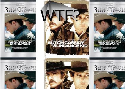 Butch and Sundance are gay