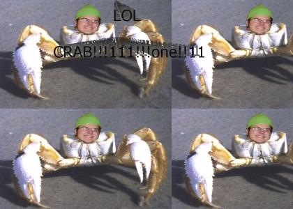 dole is a crab