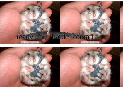 army hamster