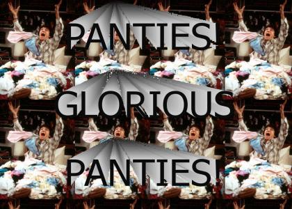 Panties! Glorious panties!