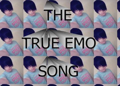 THE TRUE EMO SONG
