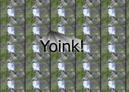 Yoink!