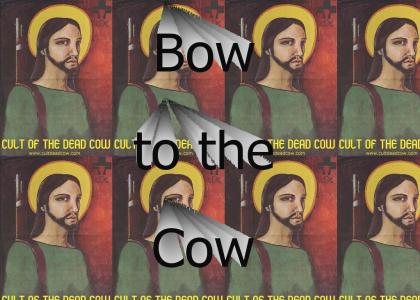 Bow to the Cow