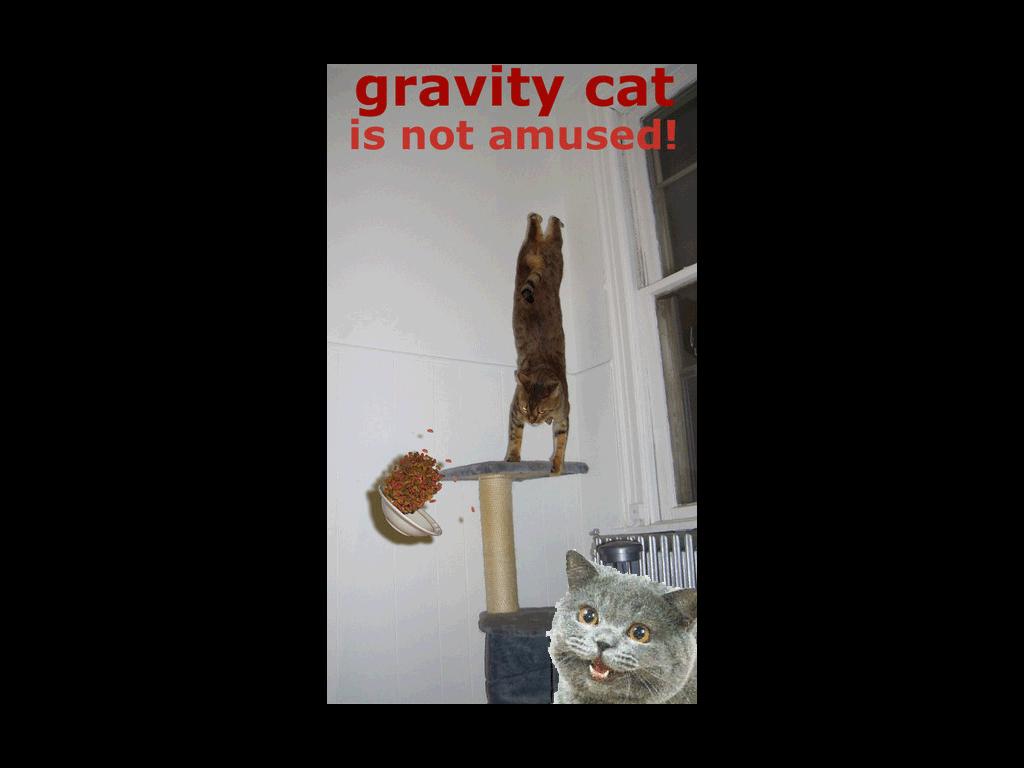 gravitycatvsnedmcat