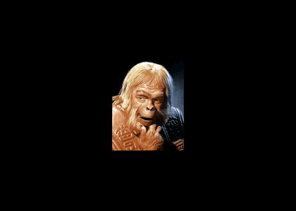 Dr. Zaius Performs Live